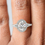 Load image into Gallery viewer, Luciana Oval Cut Halo Split Claw Set Engagement Ring - Nivetta - Nivetta
