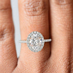 Load image into Gallery viewer, Catalina Oval Cut Pave Halo 4 Prong Claw Set Engagement Ring
