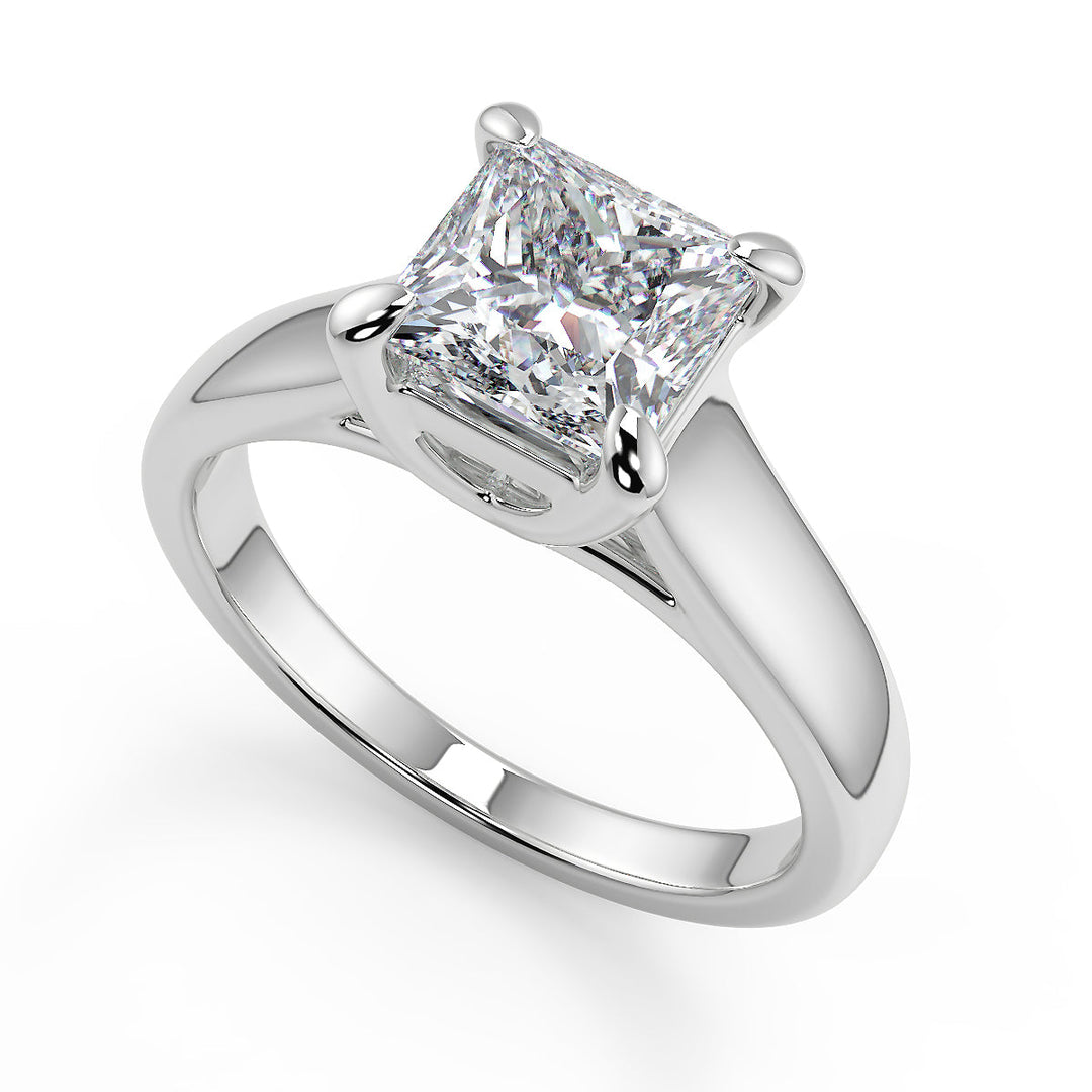 Aliana 4 Prong Claw Solitaire Princess Cut Diamond Engagement Ring
